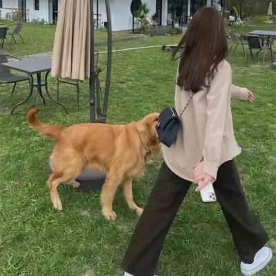 奥黛丽·恩肖的诅咒